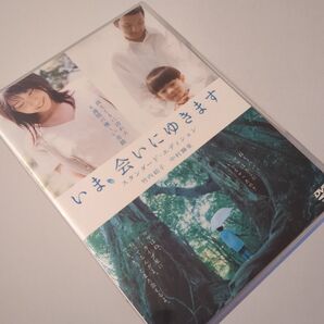 いま会いにゆきます DVD