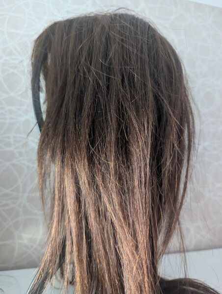 人毛 ストレートヘアーウィッグ