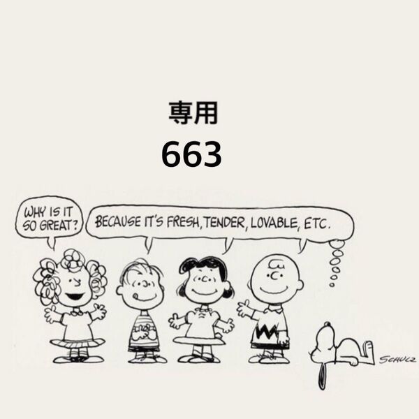 保冷保温ランチバッグ663