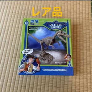 Dr. Steve 恐竜化石発掘キットヴェロキラプトル