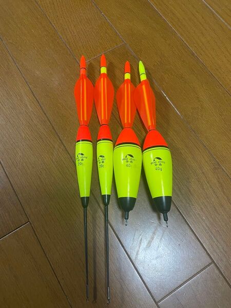 電気ウキ 発泡ウキ 遠投カゴ 遠投サビキ 泳がせ 遠投ウキ 2号と6号 合計4本