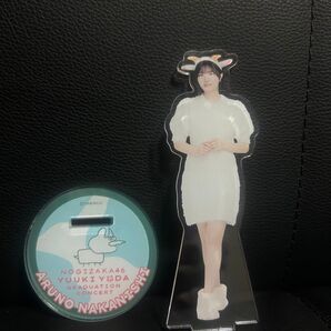 与田祐希卒業コンサート 個別アクリルスタンド 中西アルノ