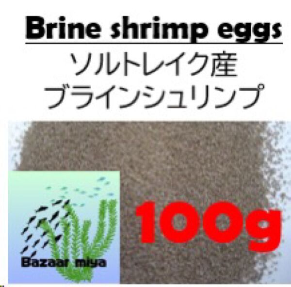ソルトレイク産ブラインシュリンプ 100g