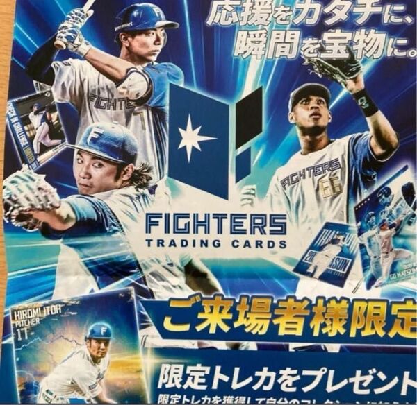 ファイターズトレカ 2025 開幕チラシ