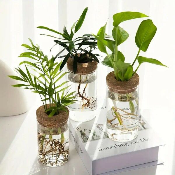 透明ガラス 水耕植物 ベース モダン デザイン インテリア 家具 花瓶 クリア フラワー 観葉植物 コルク コンパクト70339