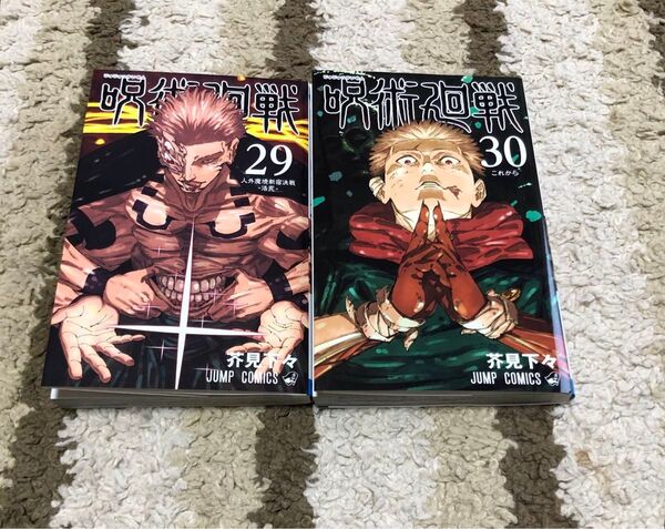 呪術廻戦 29巻 30巻 2冊 セット レンタル落ち 芥見下々 漫画 コミック 29 30