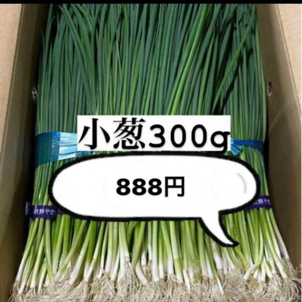 福岡県産 小葱300g
