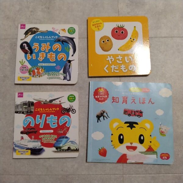 こどもしゃしんブック3冊+ベネッセ知育絵本