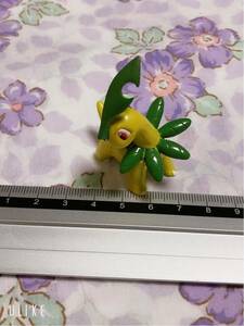 ポケモン モンスターコレクション モンコレ ベイリーフ