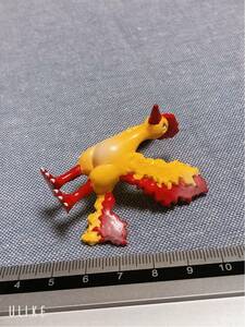 ポケモン モンスターコレクション モンコレ ファイヤー