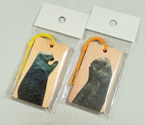 新品 鳥羽水族館 メイキラ 木札 2枚セット