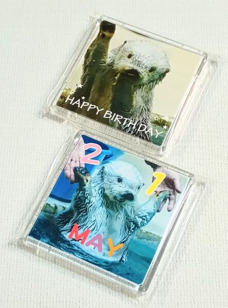 新品 5/9記念 限定 鳥羽水族館 メイ マグネット 2点セット