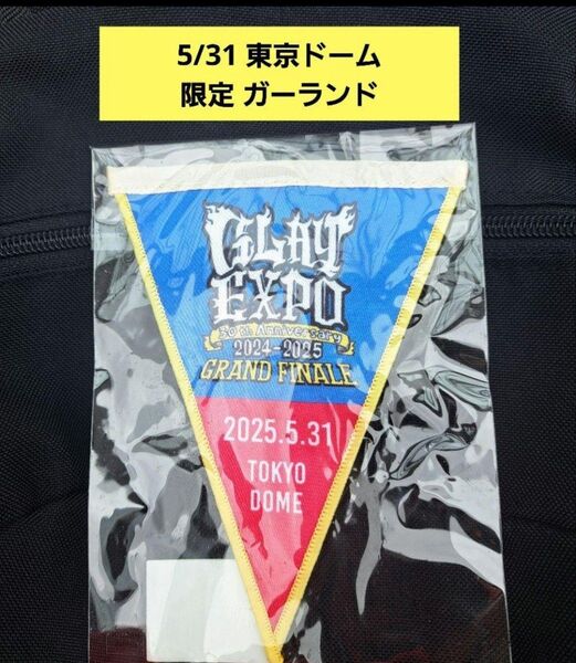 超レア☆オマケ付き! 限定 GLAY 東京ドーム 5/31 ガーランド バッジ フラッグ グッズ