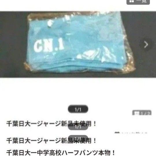 千葉日大一中学高校 制服 ハーフパンツ