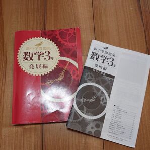 新中学問題集 数学 発展編