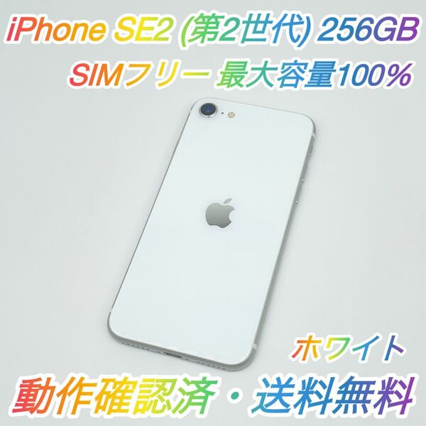 即配【美品】SIMフリー iPhone SE 第2世代 256GB A2296 NXVU2J/A ホワイト 最大容量100%