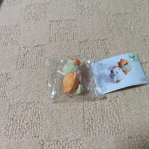 虚無。宙 ポメラニアン