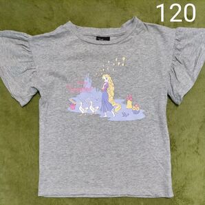 半袖 Tシャツ 120 ディズニープリンセス ラプンツェル 綿100%
