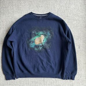 CAPYBARA SWEAT NAVY FRUITS OF THE ROOM