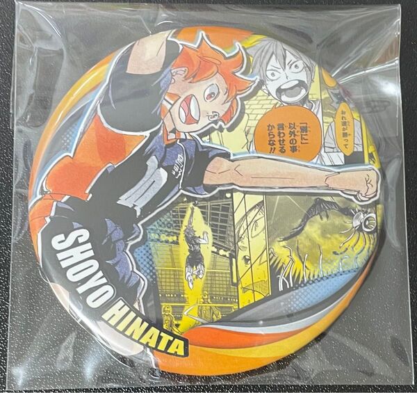 ハイキュー メモリーズ 缶バッジ 第3弾 日向翔陽