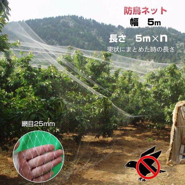 防鳥ネット 防鳥網 透明 幅5m 長さ5m 網目25mm 強力 ナイロン 鳥よけネット カラスよけ 害獣 防獣 田んぼ 畑 農園