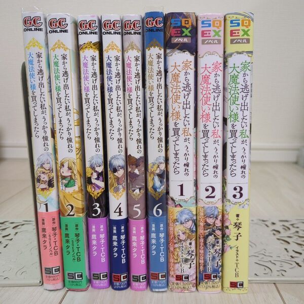 家から逃げ出したい私が、うっかり憧れの大魔法使い様を買ってしまったら