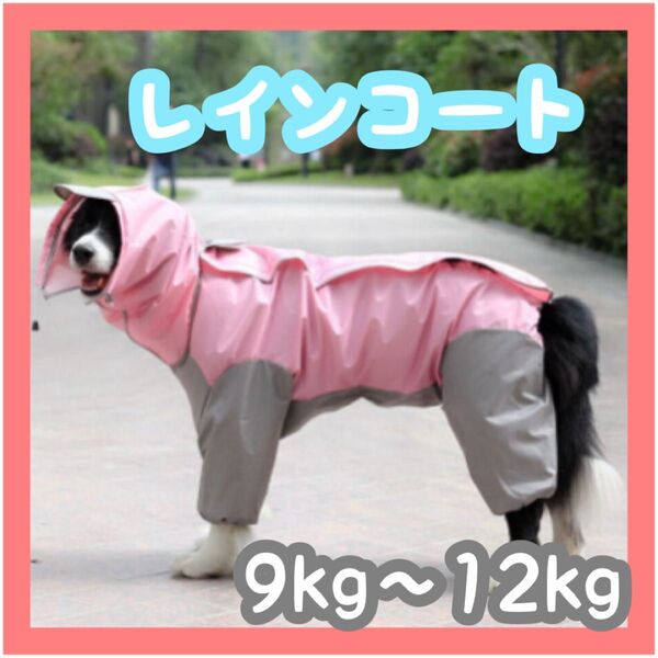 犬 レインコート ドッグウェア カッパ レイングッズ 中型犬