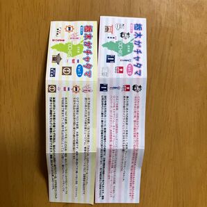 栃木ガチャタマ vol.1 vol.2 キーホルダーセット