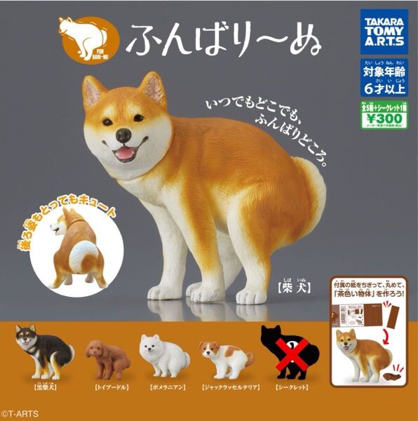 ふんばり~ぬ 全5種セット(シークレットなし) タカラトミーアーツ ガチャ