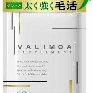 ヘア サプリ ノコギリヤシ 9,600mg ケラチン 7,020mg 育毛サプリ