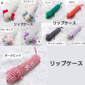 ●リップケース