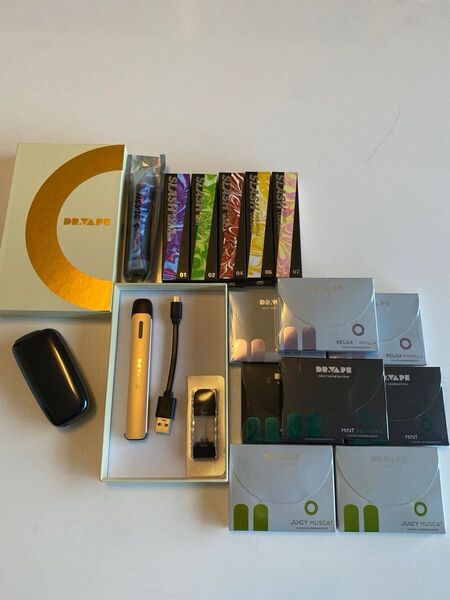 DR.VAPE本体1+フレーバー17個 プルームX本体+充電線 SLASH本体6本