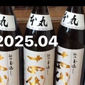 十四代 本丸 5本