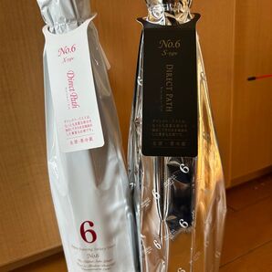 新政 no6 ダイレクトパス X S 2本セット