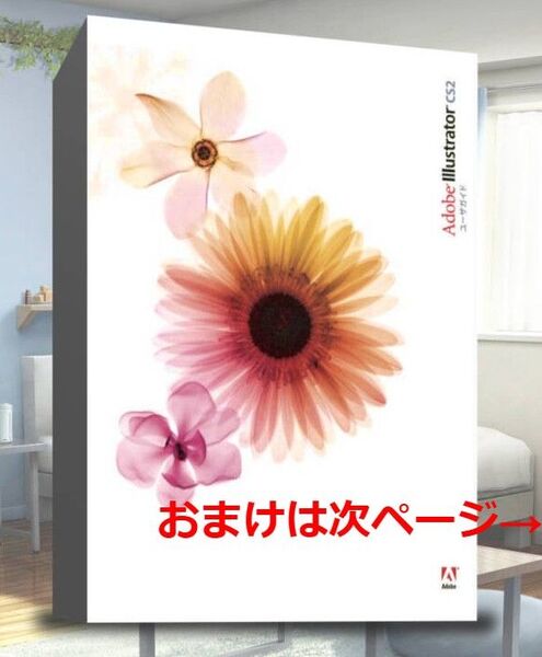 おまけ付け 【正規品】Adobe Illustrator CS2 正規版シリアル付き 日本語対応