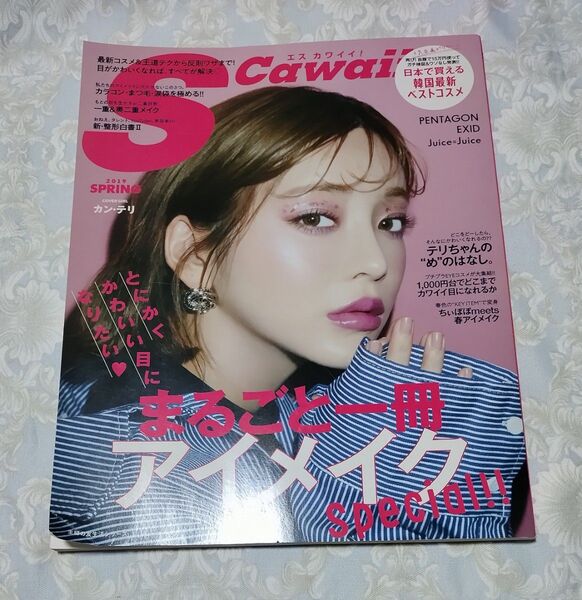 S cawaii エス カワイイ 2019年spring まるごと一冊アイメイクSpecial