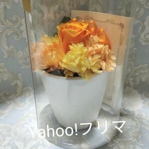 プリザーブドフラワー ケース入り