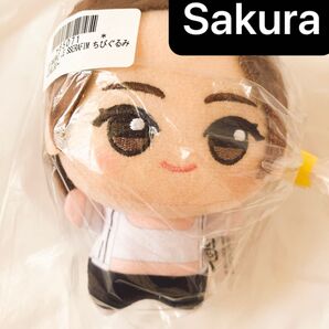 LE SSERAFIM サクラ 1個 宮脇咲良 ちびぐるみ マスコット ぬいぐるみ ちびぬい ルセラフィム 公式 日本限定