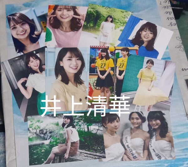 井上清華Lサイズphoto10枚