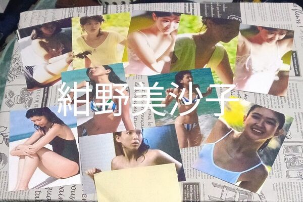 紺野美沙子 Lサイズphoto10枚
