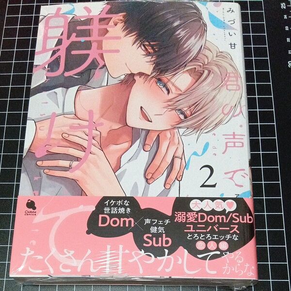 君の声で躾けて 2/みづい甘