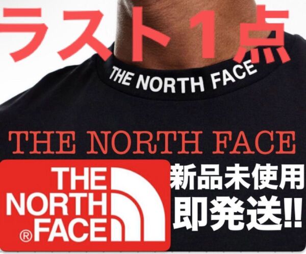ラスト1点!ネックロゴTシャツ THE NORTH FACE