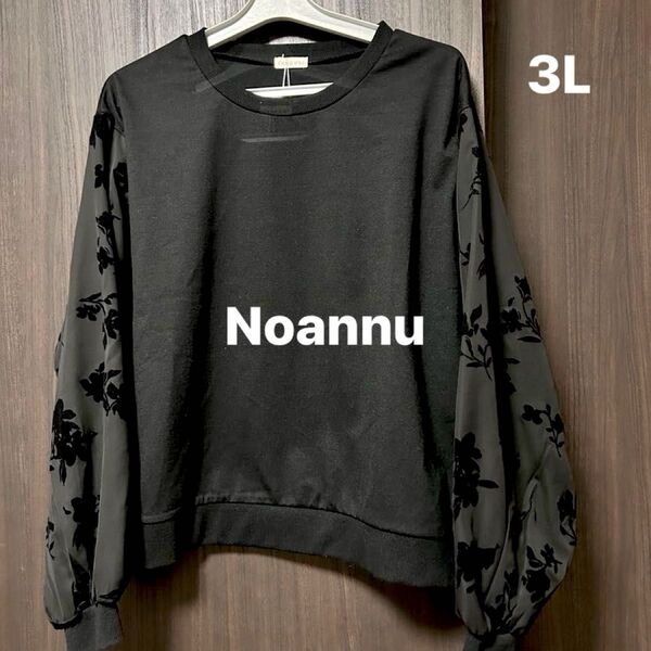 トレーナー カットソー 3L ノアンヌ 大きいサイズ noannu 長袖 袖花柄デザイン