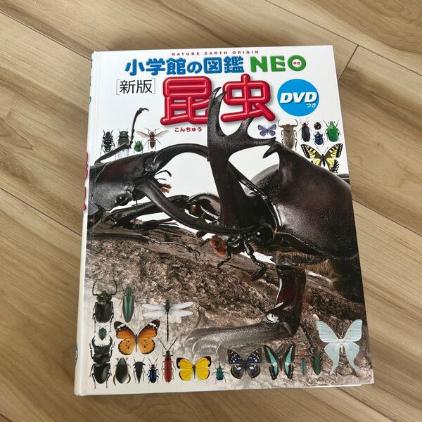 小学館の図鑑NEO 昆虫