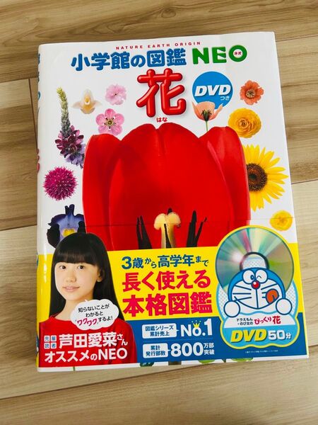 小学館の図鑑NEO 花 dvd無し