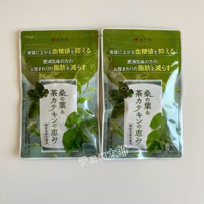 桑の葉&茶カテキンの恵み 2袋 和漢の森 〈機能性表示食品〉