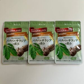 バナバ&サラシアの恵み 3袋 和漢の森〈機能性表示食品〉