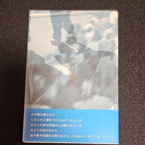 詩集カフカの食事 菊田守著 視点社