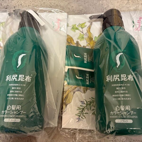 利尻カラーシャンプー2本セット ブラック500ml 白髪用 ノンシリコーン 植物性色素 アミノ酸系 利尻昆布 サスティ