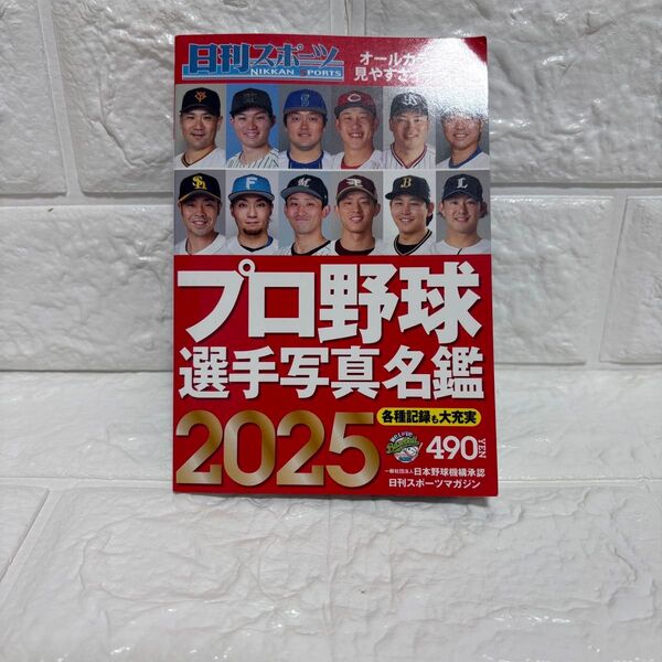 プロ野球選手名鑑2025